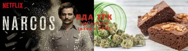 PSILOCYBIN Пестово