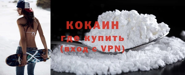 PSILOCYBIN Пестово