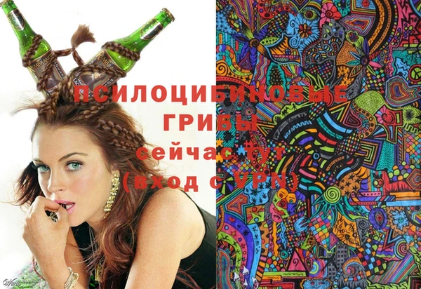 PSILOCYBIN Пестово