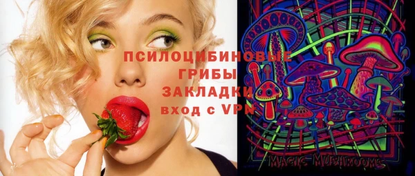 крисы Переславль-Залесский