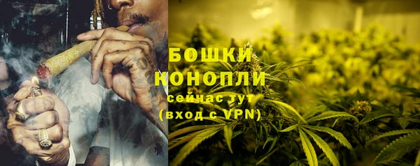 PSILOCYBIN Пестово