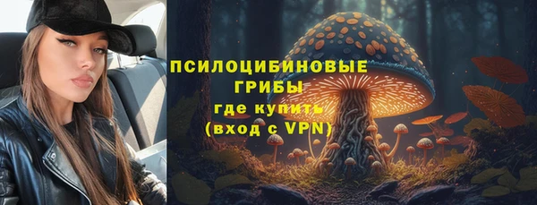 крисы Переславль-Залесский