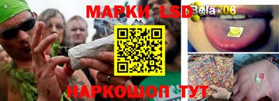 бошки Краснодар