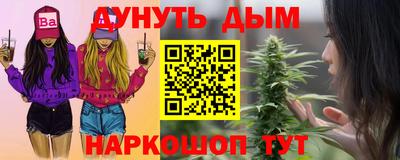 сатива Краснознаменск