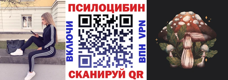 где купить наркоту  Сегежа  Галлюциногенные грибы GOLDEN TEACHER 