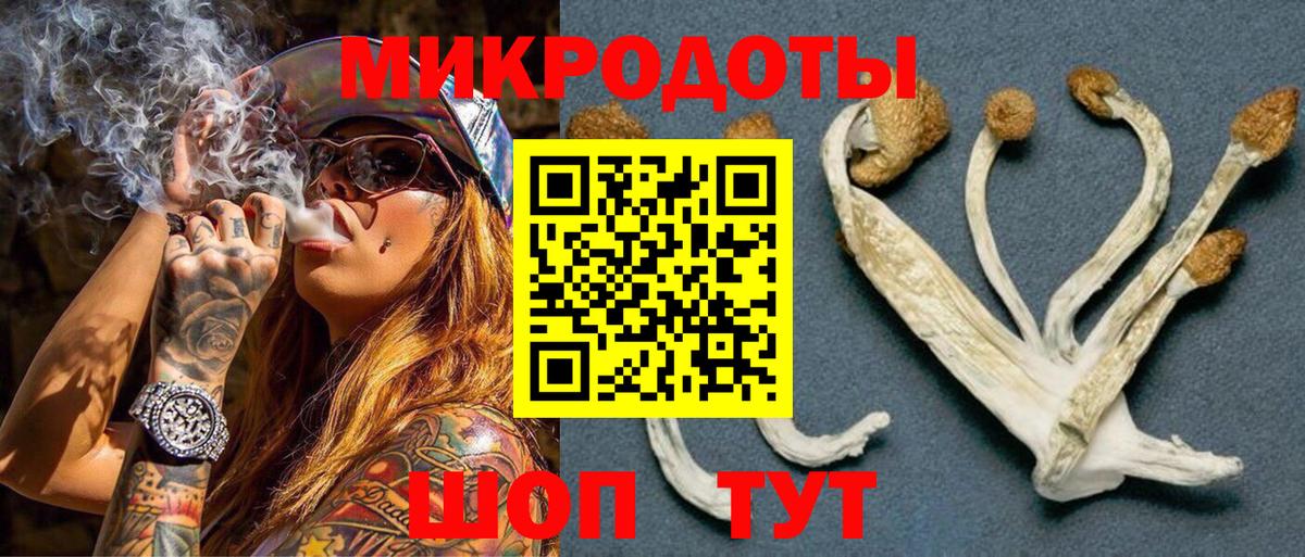 Псилоцибиновые грибы GOLDEN TEACHER Сегежа